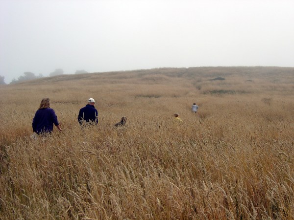 Hike into Mendocino tidepools